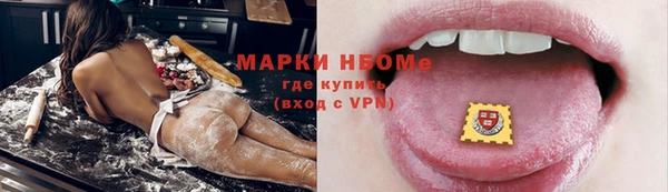 соль ск Ельня