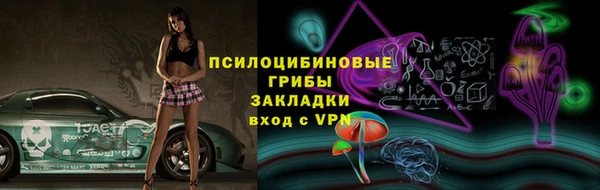 a pvp Дмитров