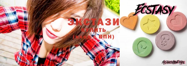 соль ск Ельня