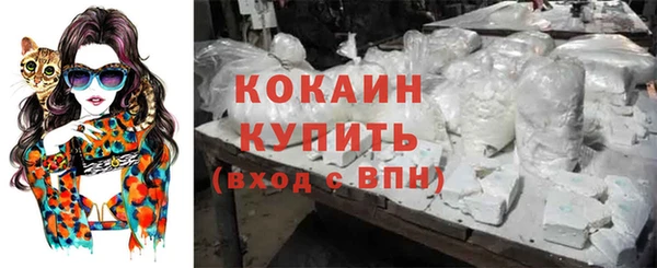 a pvp Дмитров