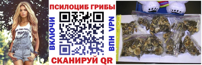 Галлюциногенные грибы прущие грибы  закладки  Чехов 