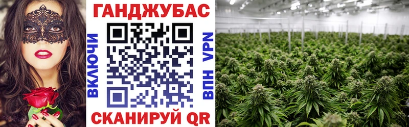 Канабис тримм  даркнет сайт  Чехов 